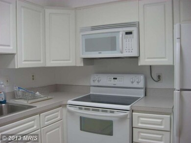 2901 Fallstaff Rd unit 308, Baltimore, MD 21209 - photo 4