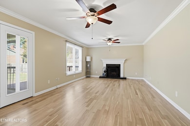 Bright & Warm Living Room