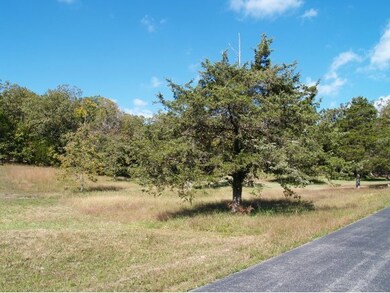 0 Water Wheel Ln, Ruth B Rural Township, MO 65686 - photo 5