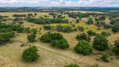 2334 Pfiester Rd unit 2, Fredericksburg, TX 78624 - photo 3