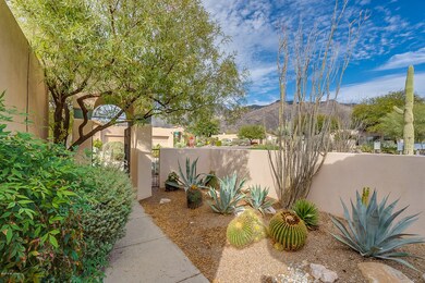 Patio View Northwest