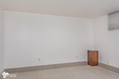 4103 North Star Street-large-006-Basemen