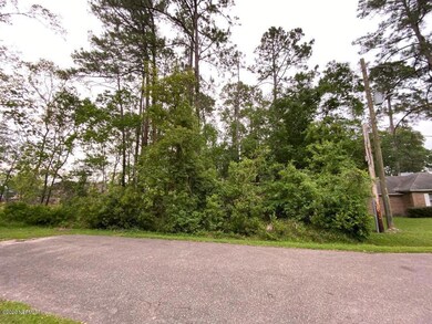 0 Rosedale Ln unit 1049710, Jacksonville, FL 32244 - photo 3