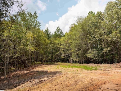 07 Neal Shoals Rd, Union, SC 29379 - photo 4