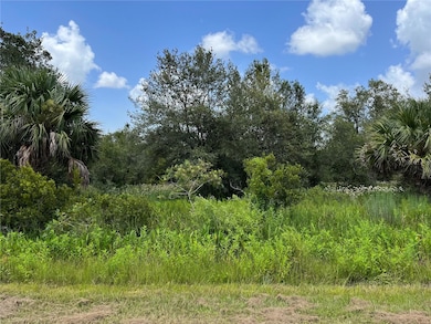 17915 NW 290th St, Okeechobee, FL 34972 - photo 2