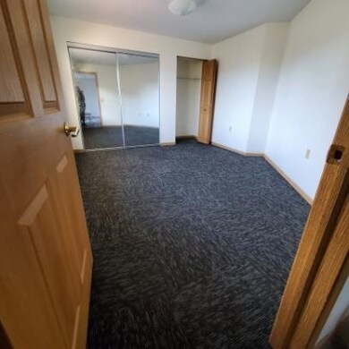 431 Water St unit 208, Prairie Du Sac, WI 53578 - photo 4