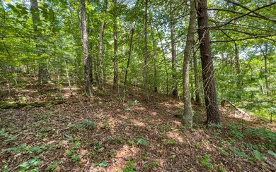 Additional View