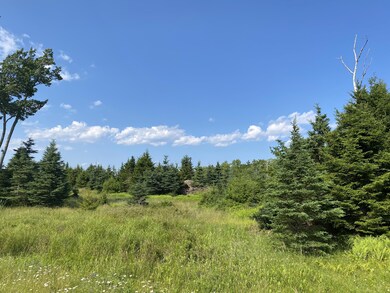 IMG_9217