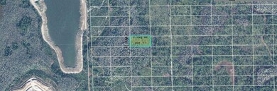 0 Dill Rd unit MFRO6245323, Orlando, FL 32820 - photo 2