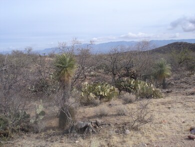 Views, Plants and Wildlife