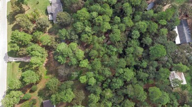 26077 Bent Oak Dr, Hockley, TX 77447 - photo 4