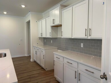 Kitchen with crown molding, dark wood-style floors, tasteful backsplash, light stone countertops, and recessed lighting