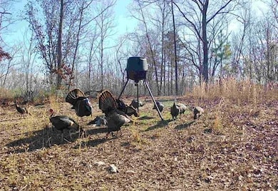 1912 Hightower Rd, Cedartown, GA 30125 - photo 7