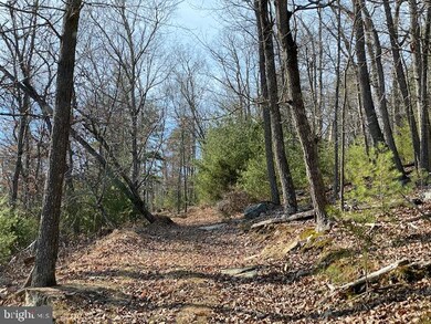 26851 Wv-55, Wardensville, WV 26851 - photo 4