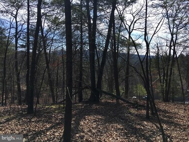 0 Nicklaus unit VASH116988, Basye, VA 22810 - photo 7