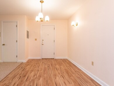 49 Jacqueline Rd unit 7, Waltham, MA 02452 - photo 7
