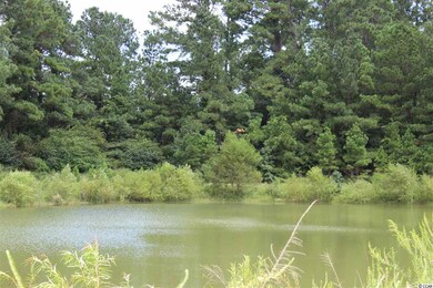 148 Barons Bluff Dr unit Pecan B, Conway, SC 29526 - photo 2