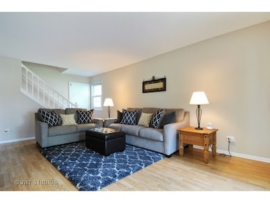 1327 Canyon Run Rd, Naperville, IL 60565 - photo 5