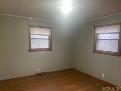 427 State Highway Af, Dexter, MO 63841 - photo 7