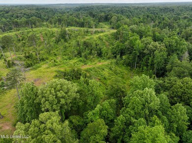 DJI_20250529105551_0001_D