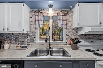 22 Rabbit Run Ln, Berlin, MD 21811 - photo 4