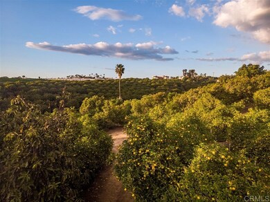 461 Wilshire Rd, Oceanside, CA 92057 - photo 4