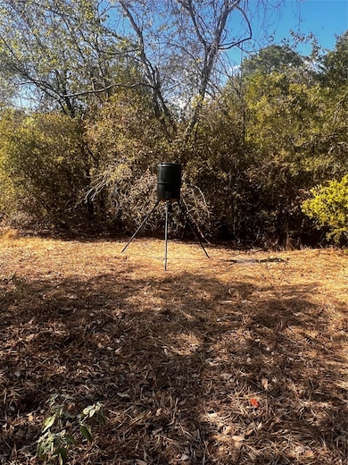 411 Laura Ln, Bastrop, TX 78602 - photo 7