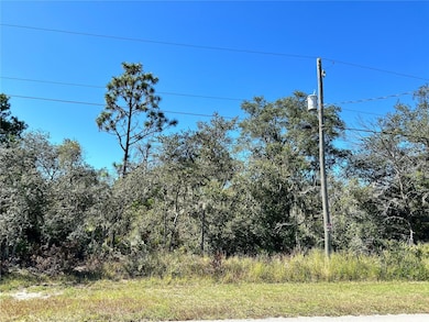 0 Woodstork Way unit MFRL4957348, Frostproof, FL 33843 - photo 3