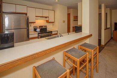 13 Northbrook Village Rd unit 8C, Dover, VT 05356 - photo 5