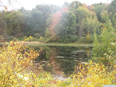 0 Cold Spring Rd unit 129301, Milan, NY 12571 - photo 6