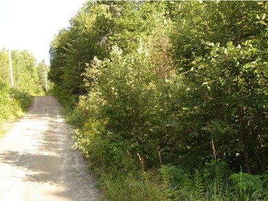 0 Corner of Long Pond & Blk Fly Blvd unit 4392747, Westmore, VT 05871 - photo 3