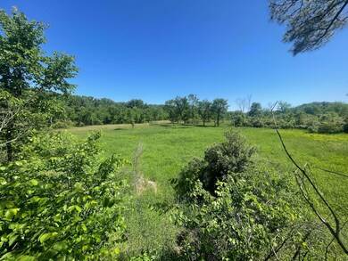 9890 Springport Rd, Parma, MI 49269 - photo 4