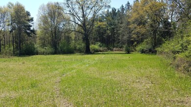 2220 Mill Creek Rd, Laurel, MS 39443 - photo 5