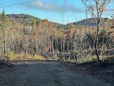 00 Thurley Rd unit 29-4, Ossipee, NH 03814 - photo 3