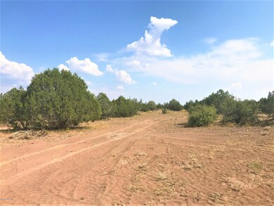 45210 N Honeysuckle Rd, Ash Fork, AZ 86320 - photo 4