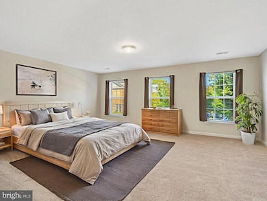 8339 Middle Ruddings Dr, Lorton, VA 22079 - photo 7