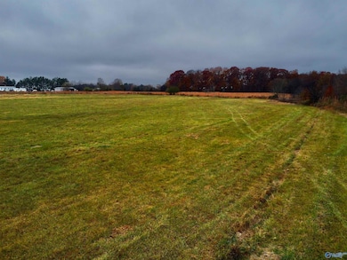 Tract 1 County Road 89, Anderson, AL 35610 - photo 4