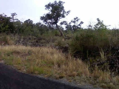 0 Paradise Pkwy unit 254335, Ocean View, HI 96737 - photo 3