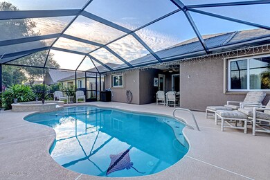 Pool & Enclosure