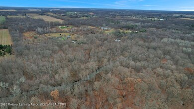 0 Allen Rd unit 292771, Fowlerville, MI 48836 - photo 4