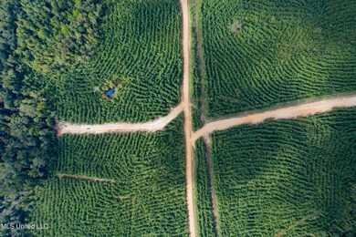 010 Attala Rd, McCool, MS 39108 - photo 4