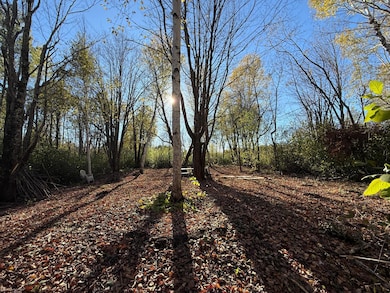 TBD Canosia Rd, Cloquet, MN 55720 - photo 7