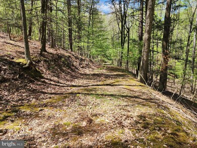 LOT 16-A Lost River Mountain Wits End, Mathias, WV 26812 - photo 2