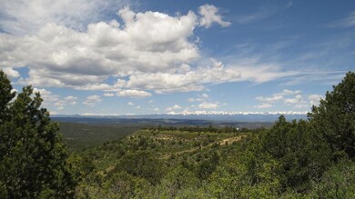 32450 Timber Ridge Ln unit B31, Trinidad, CO 81082 - photo 5