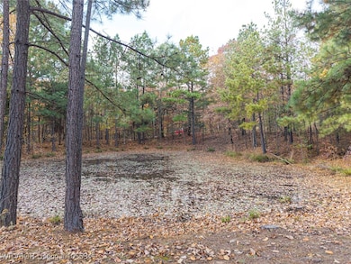 18111 Bobcat Trail, Chester, AR 72934 - photo 3