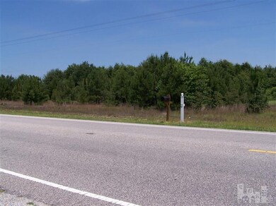 0 Spiveys Corner unit 30492597, Dunn, NC 28334 - photo 3