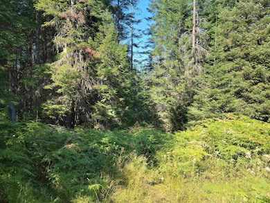TBD Lacey Meadows Rd, Weippe, ID 83553 - photo 3