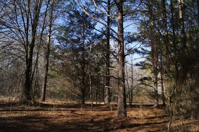 4.57 Ac. Goshen St, Lincolnton, GA 30817 - photo 6