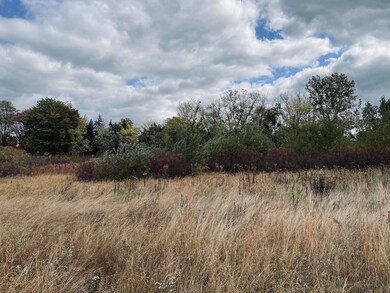 IMG-4520