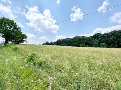 IMG_0114